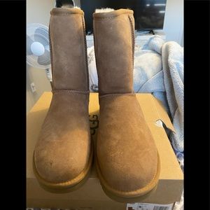 Ugg boots mid length brand new never worn Sz8